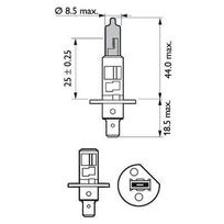 halogeniniai prozektoriai - Philips 12258WVUSM halogeninė lemputė White Vision H1 55W 12V - 2 nuotrauka