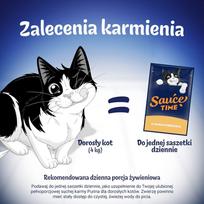 felix kaciu slapias - Purina Felix Sauce Time su vištiena ir kalakutiena 6 x 40 g - 2 nuotrauka