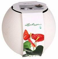 Verners Puro Flower Pot White 20cm