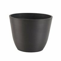 Vazonas spw d25.5 anglies