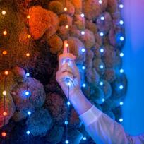 rgb laidas - Kalėdinė girlianda Twinkly Candies 100 RGB LED USB- C, žalios spalvos laidas - 2 nuotrauka