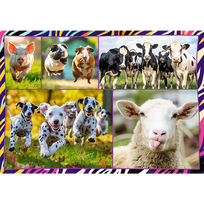 puzzle deliones 1000 - Trefl Funny Animals 13313, 4 x 250 det. - 5 nuotrauka