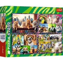 puzzle deliones 1000 - Trefl Funny Animals 13313, 4 x 250 det. - 6 nuotrauka