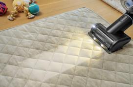 dulkiu siurbliai 2000 w - Bissell PowerClean FurFinder Select Cordless - 6 nuotrauka