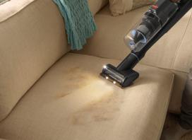 siurblys sluota bissell - Bissell PowerClean FurFinder Pro - 4 nuotrauka