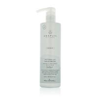 keratino kauke plaukams - Paul Mitchell Awapuhi Wild Ginger Repair Intensive Treatment intensyviai atkurianti kaukė plaukams - 150 ml. - 2 nuotrauka