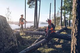 miskininkui - Apsauginis šalmas Husqvarna Technical 585058401 - 5 nuotrauka