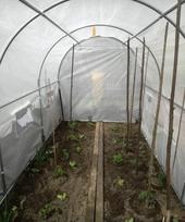 siltnamis 2 5x4 - Šiltnamis su armuota plėvele, 10 m2, 2.5x4 m, baltas - 7 nuotrauka
