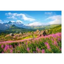 puzzle castorland - Dėlionė Castorland Hala Gasienicowa Tatras Poland, 1000 vnt. - 2 nuotrauka