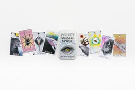 cardo spirit - HARPER ONE Kišeninė kaladė "Wild Unknown Pocket Animal Spirit" - 3 nuotrauka