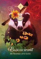 zaidimu kortos - Hay House Oracle kortos „The Spirit Animal Pocket“ - 5 nuotrauka