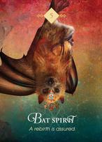 zaidimu kortos - Hay House Oracle kortos „The Spirit Animal Pocket“ - 6 nuotrauka