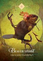 zaidimu kortos - Hay House Oracle kortos „The Spirit Animal Pocket“ - 7 nuotrauka