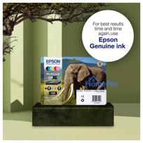 spausdintuvas epson spalvotas - EPSON Multipack 6-colours 24XL EasyMail | C13T24384510 - 6 nuotrauka