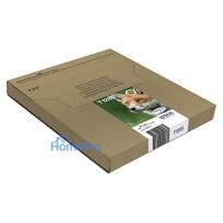 spausdintuvas epson spalvotas - EPSON EasyMail MP Fox-DURABrite Ultra | C13T12854511 - 11 nuotrauka