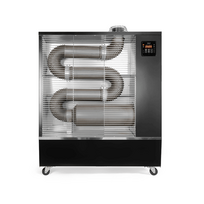 infrared - HEATUM 13 kW - 10 nuotrauka