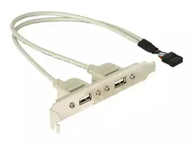3 pin to usb - Delock Adapter Bracket USB 10pin to USB x2 Grey 0.30m - 2 nuotrauka