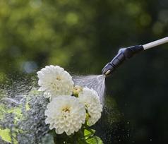 purkstuvas 5l - Slėginis purkštuvas Gardena EasyPump, 5 l - 4 nuotrauka
