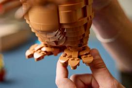 senukai lego - LEGO Ideas E.T. the Extra-Terrestrial 21370 - 13 nuotrauka
