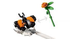 senukai lego - LEGO Ideas La Catarina 21372 - 8 nuotrauka