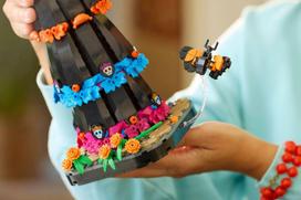 senukai lego - LEGO Ideas La Catarina 21372 - 11 nuotrauka