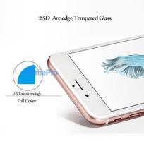 iphone 12 apsauginis stiklas - Riff "0.3 mm Tempered Glass Apple iPhone 12 Pro Max" - 3 nuotrauka