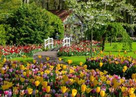 ravensburger puzzle 1000 - Ravensburger Keukenhof Gardens, 1000 det. - 3 nuotrauka
