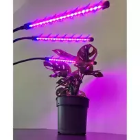 lempos augalams - Lempa 20 led 3 vnt. augalu augimui gardlovas 19242 m - 3 nuotrauka