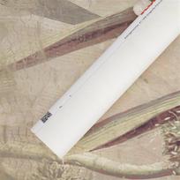 fototapetai tapetai - Fototapetas Komar DRAGONFLY PON, 350 cm x 250 cm - 3 nuotrauka