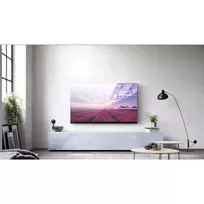televizorius 55 - Techly Wall Mount 106619 - 2 nuotrauka