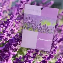 levandos - Spintos kvapas Levanda (Lavender) - 2 nuotrauka