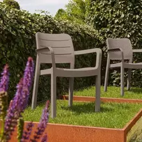 senukai foteliai - Keter Tisara Garden Chair Cappucino - 3 nuotrauka