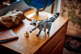 lego 3 in 1 - Chuckit! Strato kamuoliukas šunims : Žaislų dydžiai - S - 6 nuotrauka