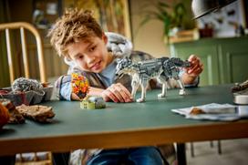 lego 3 in 1 - Chuckit! Strato kamuoliukas šunims : Žaislų dydžiai - S - 9 nuotrauka