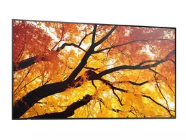 monitorius 7 coliu - Sharp MultiSync M652 65", 4K UHD, 550 cd/m², 24/7 - 5 nuotrauka