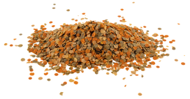 tetra pro - Tetra TetraMin Pro Crisps 12 g - 2 nuotrauka
