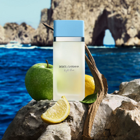 blue light dolce gabbana kvepalai - Dolce & Gabbana Light Blue EDT 100 ml - 2 nuotrauka