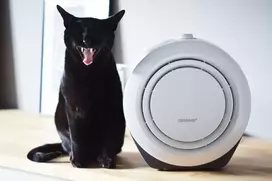 blaupunkt 20 - PRIME 3 Prime3 SAP21 - 8 nuotrauka