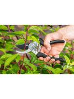 sekatorius zirkles - Verto 15G204 lopper - 4 nuotrauka