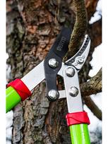 sodo zirkles - Verto 15G251 lopper - 2 nuotrauka
