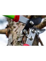 sodo zirkles - Verto 15G251 lopper - 6 nuotrauka