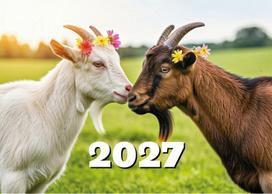 kalendorius 2024 - Kalendorius trigubas sieninis su juostele 2024 AGAPIC RUDONAS DRAKONAS - 2 nuotrauka