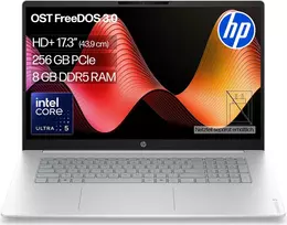HP OmniBook 3 17-dg0054ngx, Core 5 225U, 8 GB, 256 GB, 17.3", FreeDOS, Natural Silver (Sidabrinis)