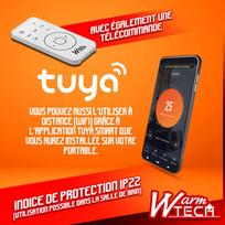 sildytuvas su - Keraminis sieninis šildytuvas 2000W-WiFi - 3 nuotrauka