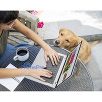 nesiojami kompiuteriai asus vivobook - ASUS Vivobook 14 M1407GA-LY012W, Ryzen AI 7 445, 16 GB, 512 GB, 14", WUXGA, Cool Silver (Sidabrinis) - 6 nuotrauka