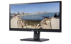 zero bar - Dell U2913WM - 2 nuotrauka