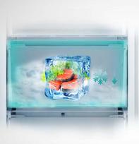 saldytuvas 201 cm - HISENSE RB440N4ACD - 10 nuotrauka