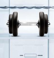 saldytuvas 201 cm - HISENSE RB440N4ACD - 11 nuotrauka