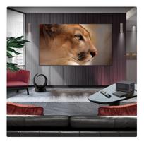 oled65* - LG OLED65M59LA - 11 nuotrauka