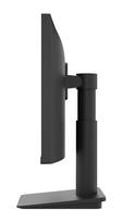 monitorius lg 23 8 - LG 24MS550-B - 4 nuotrauka